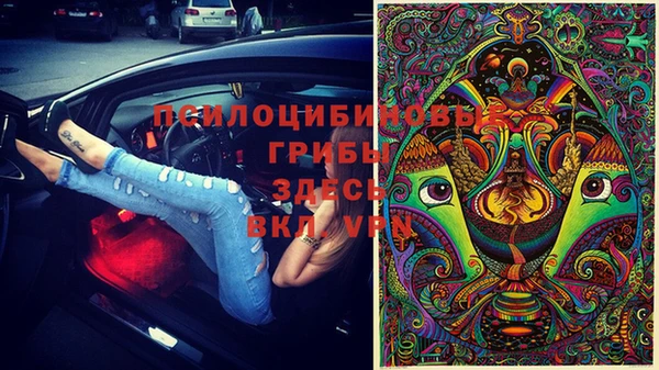 прущие крисы Алексин