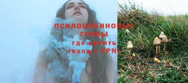 спайс Алексеевка