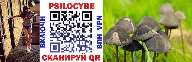 это телеграм Кириши Псилоцибиновые грибы мухоморы